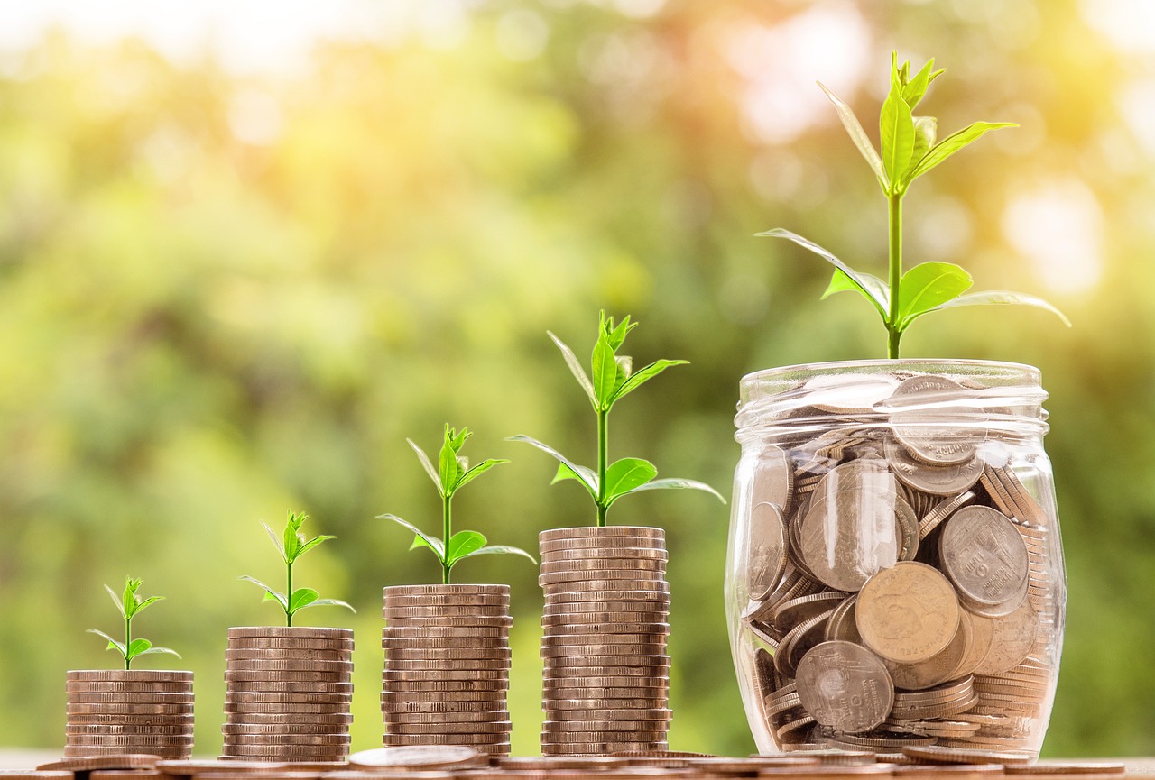 plant growing in a coins filled jar - How to save more money